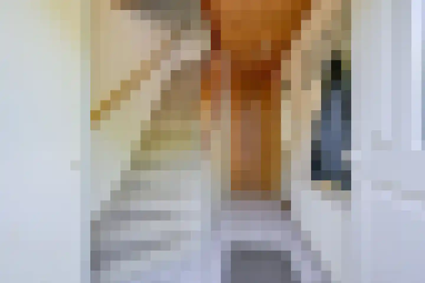 Dokter Hoogkamerlaan 74 Middenmeer thumbnail 8