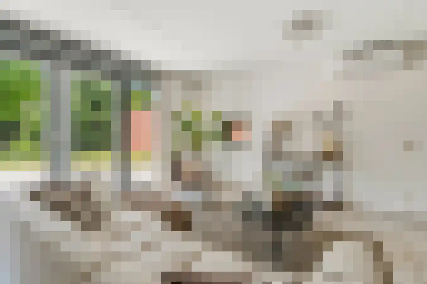 Dokter Huijgenhof 12 Lent thumbnail 11