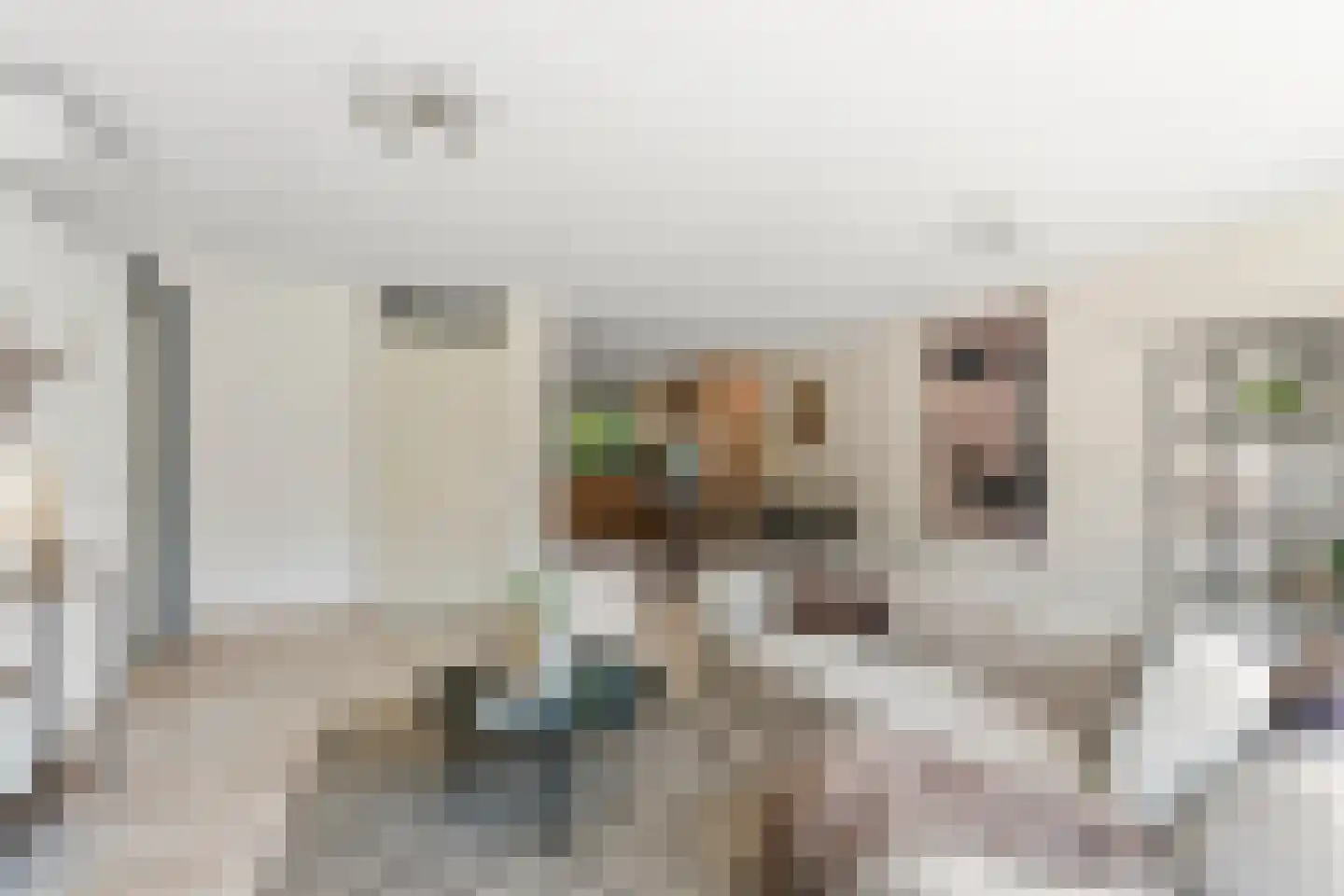 Dokter Huijgenhof 12 Lent thumbnail 13