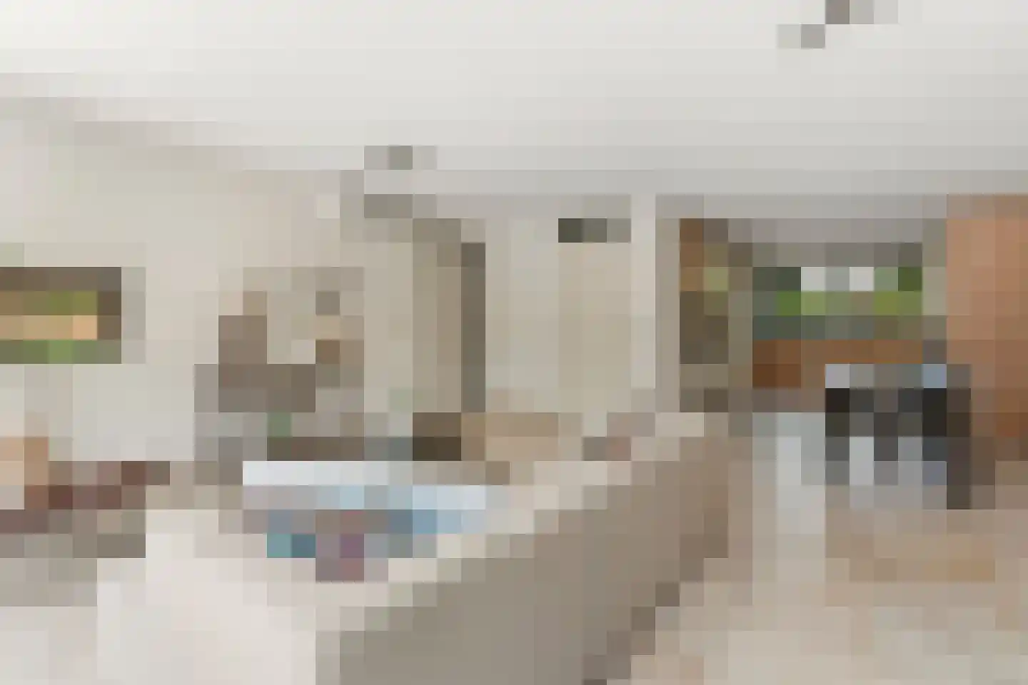 Dokter Huijgenhof 12 Lent thumbnail 14