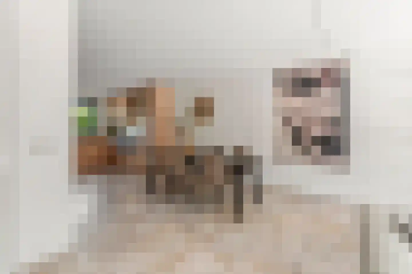 Dokter Huijgenhof 12 Lent thumbnail 15