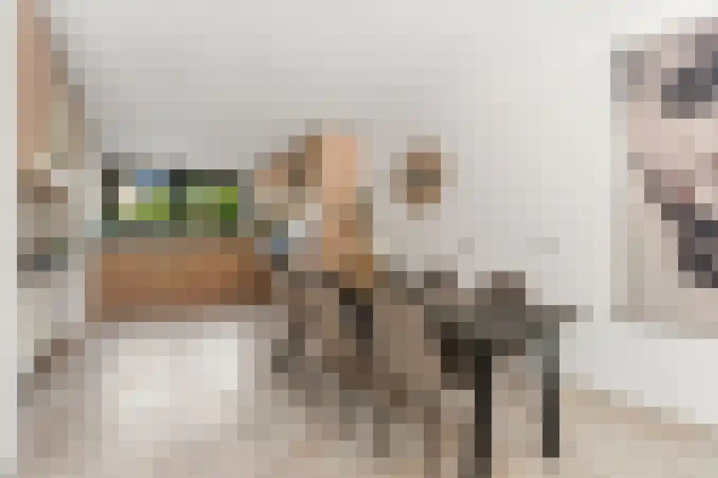 Dokter Huijgenhof 12 Lent thumbnail 16