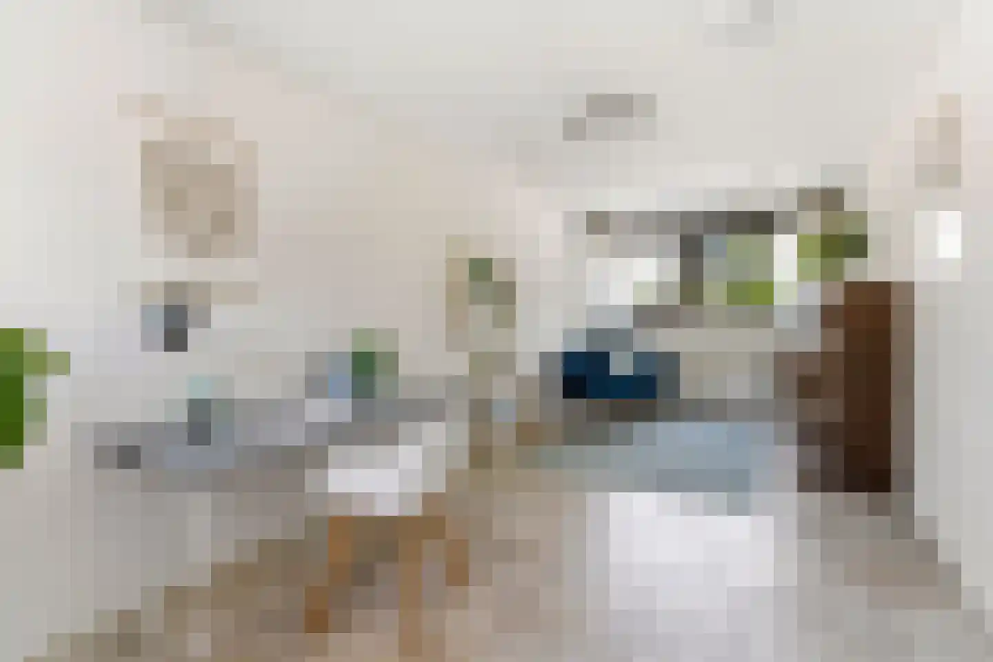 Dokter Huijgenhof 12 Lent thumbnail 19