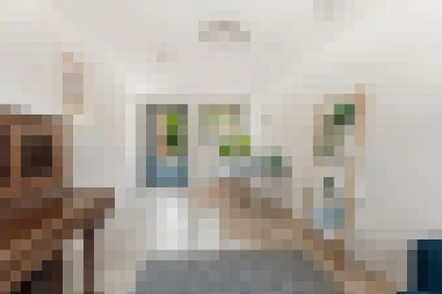 Dokter Huijgenhof 12 Lent thumbnail 21