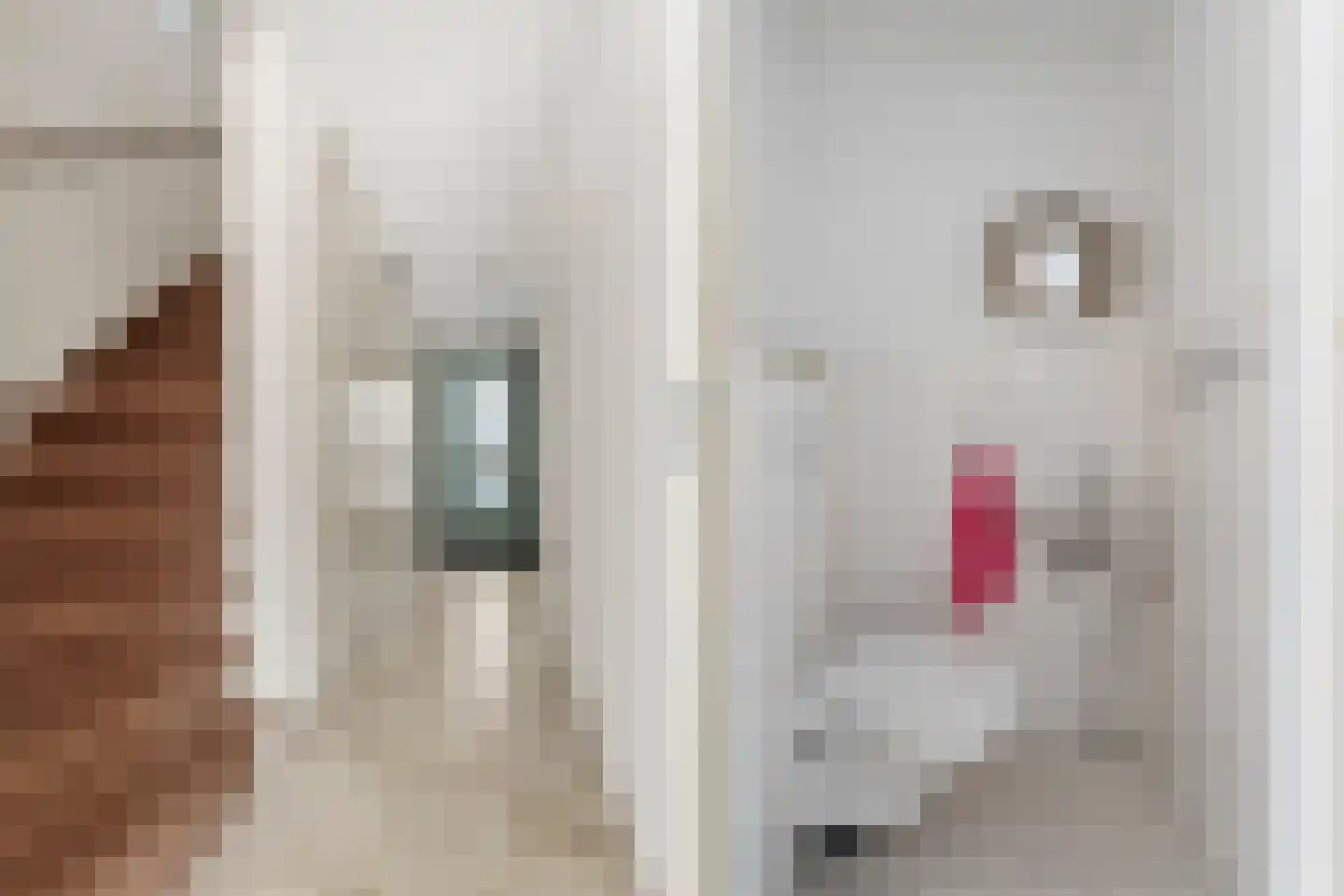 Dokter Huijgenhof 12 Lent thumbnail 22