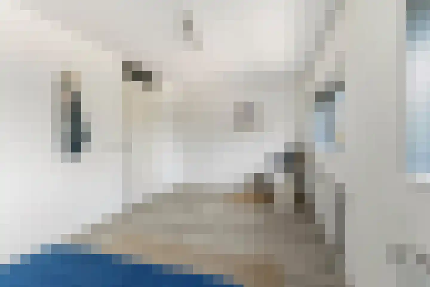 Dokter Huijgenhof 12 Lent thumbnail 24