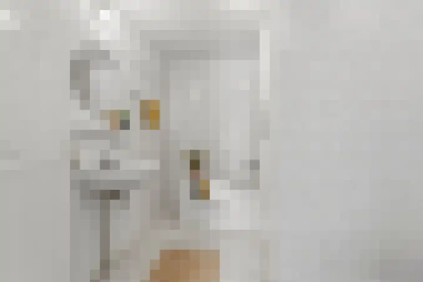 Dokter Huijgenhof 12 Lent thumbnail 27