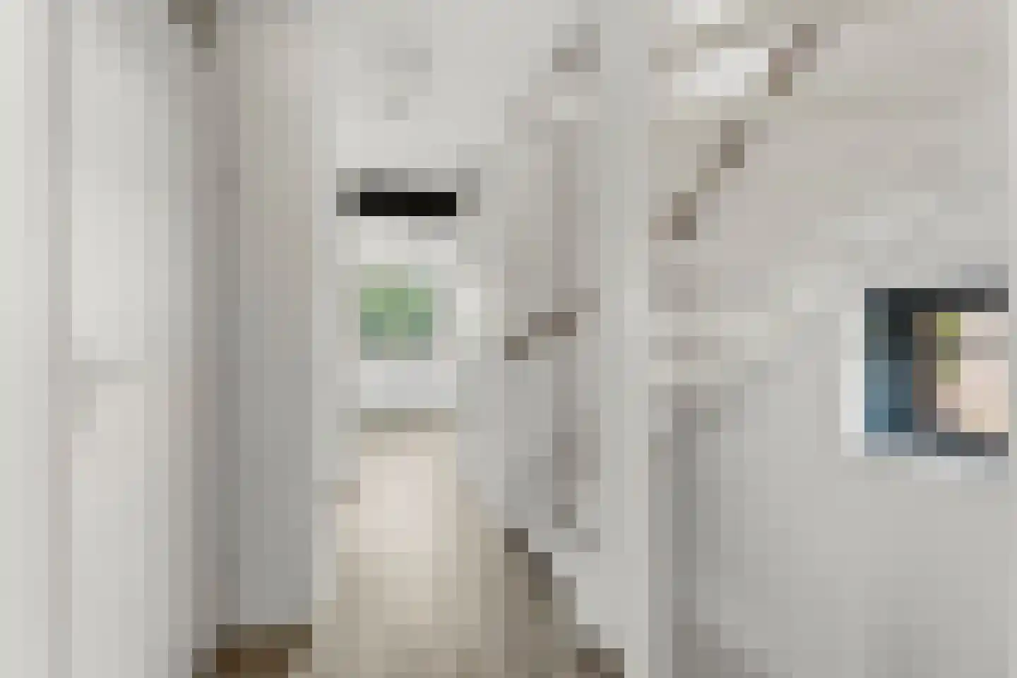 Dokter Huijgenhof 12 Lent thumbnail 33