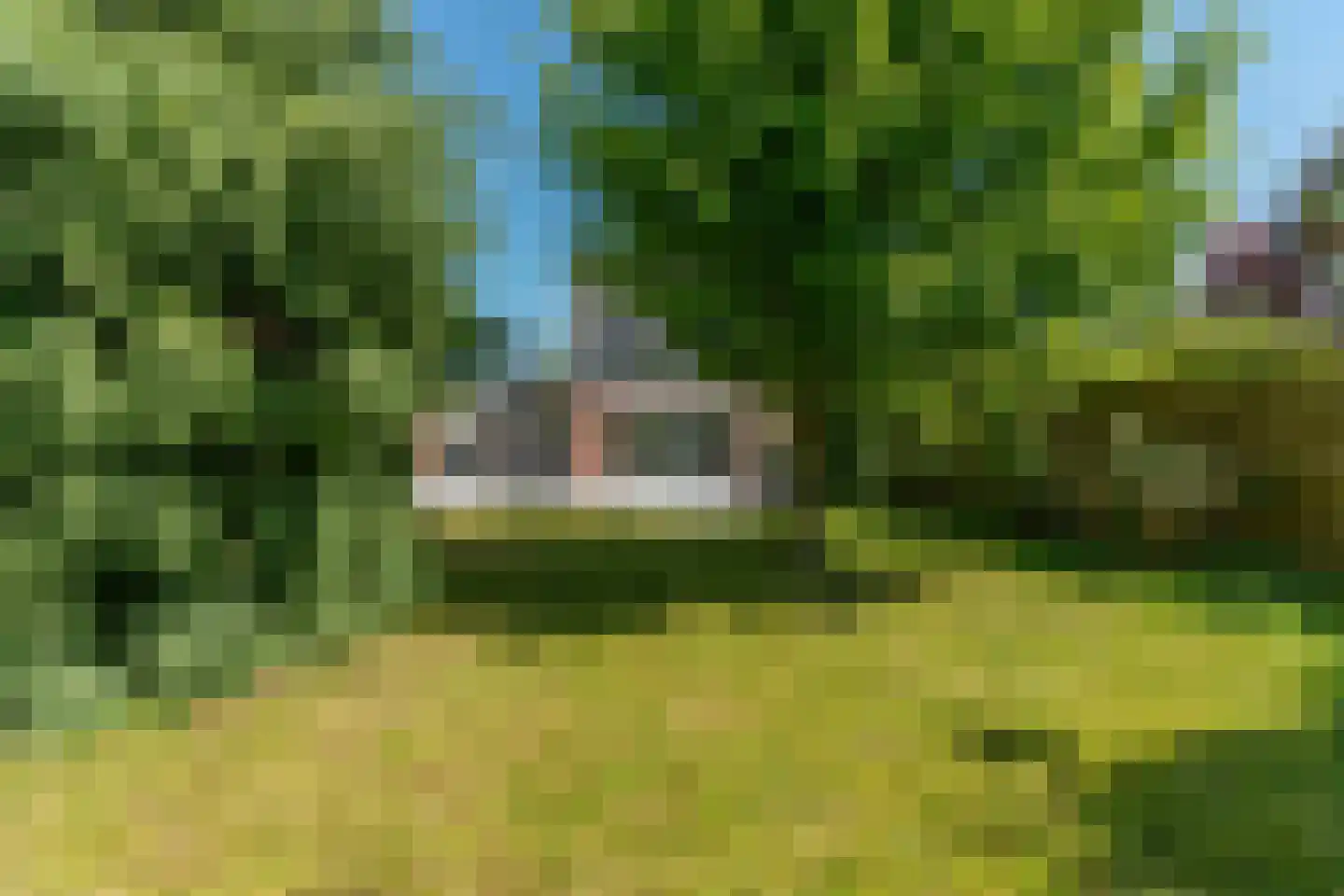Dokter Huijgenhof 12 Lent thumbnail 4