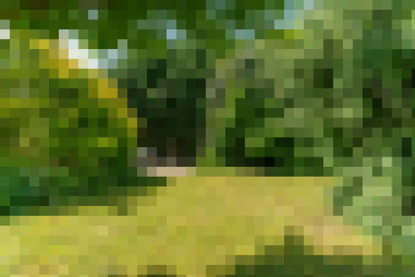 Dokter Huijgenhof 12 Lent thumbnail 50