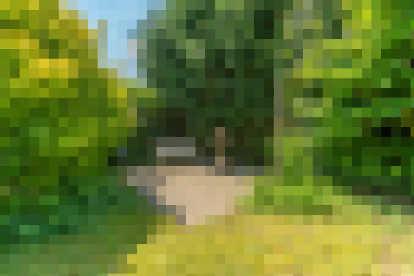 Dokter Huijgenhof 12 Lent thumbnail 51