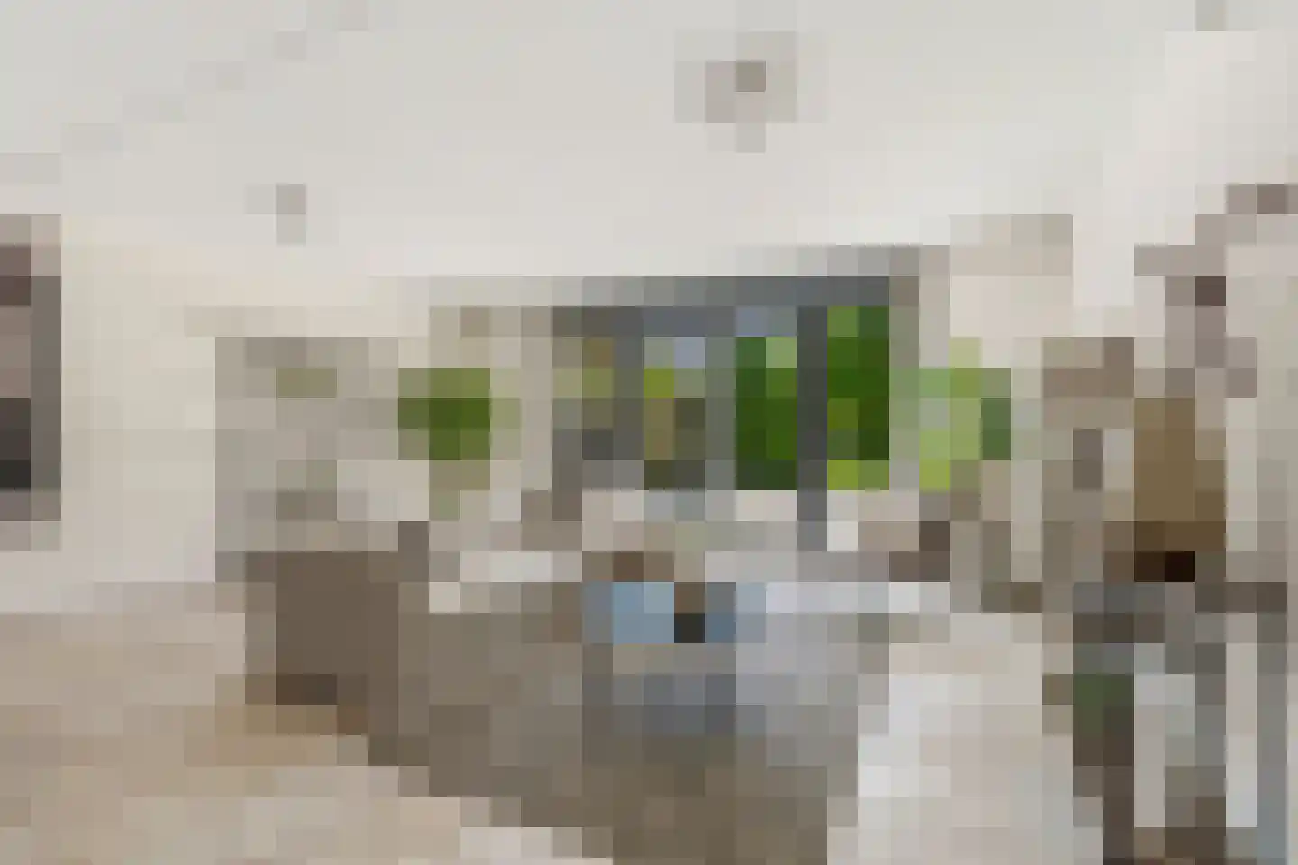 Dokter Huijgenhof 12 Lent thumbnail 9