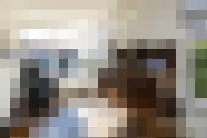 Dokter Huisinghlaan 8 Nunspeet thumbnail 17