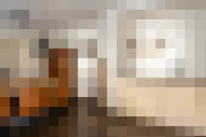 Dokter Huisinghlaan 8 Nunspeet thumbnail 23
