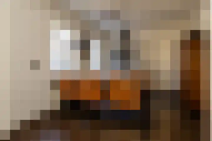 Dokter Huisinghlaan 8 Nunspeet thumbnail 24