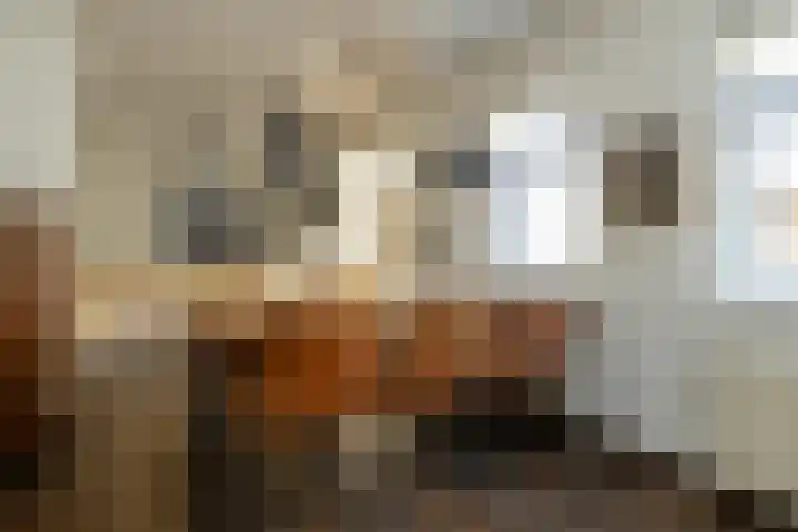 Dokter Huisinghlaan 8 Nunspeet thumbnail 25