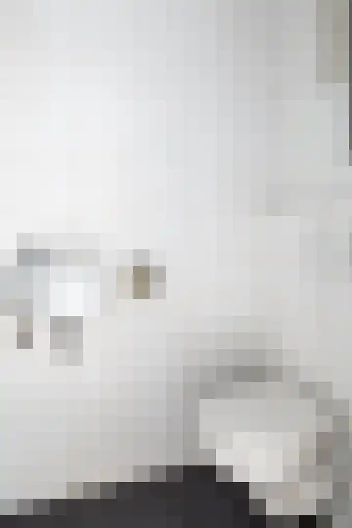Dokter Huisinghlaan 8 Nunspeet thumbnail 27