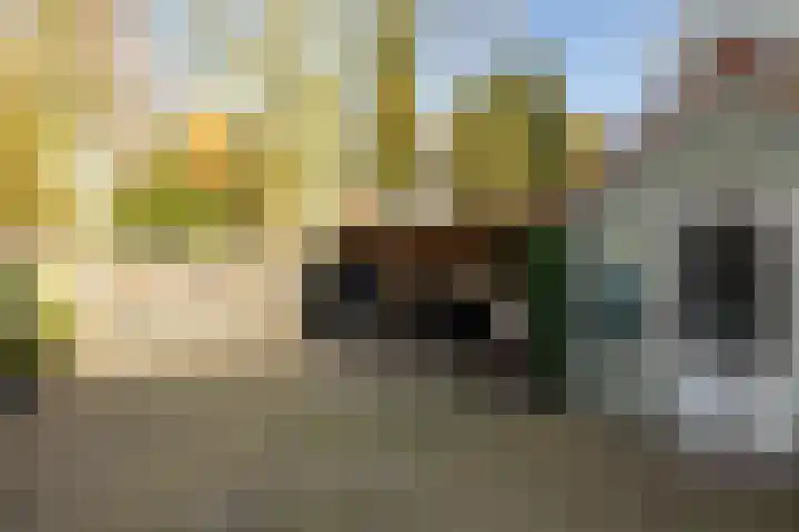 Dokter Huisinghlaan 8 Nunspeet foto 3