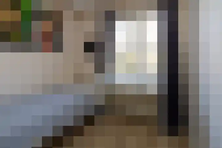 Dokter Huisinghlaan 8 Nunspeet thumbnail 32