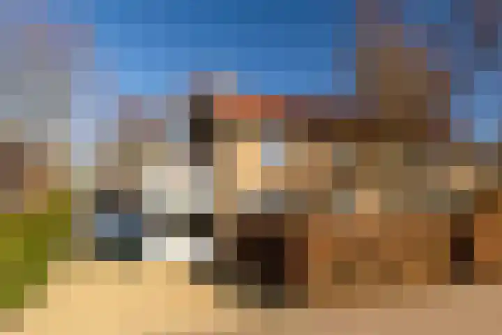 Dokter Huisinghlaan 8 Nunspeet thumbnail 36