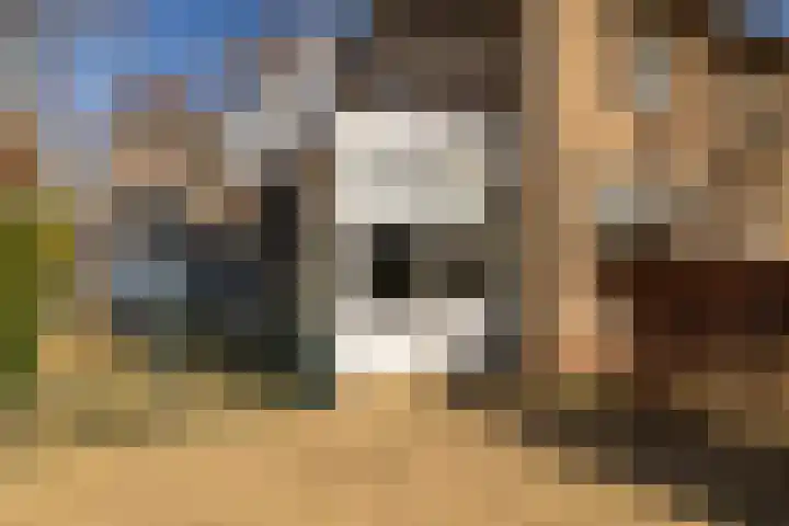 Dokter Huisinghlaan 8 Nunspeet thumbnail 39
