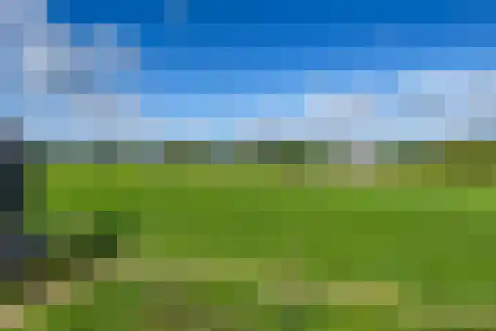 Dokter J. van Heuvenweg 20 Lieren thumbnail 26