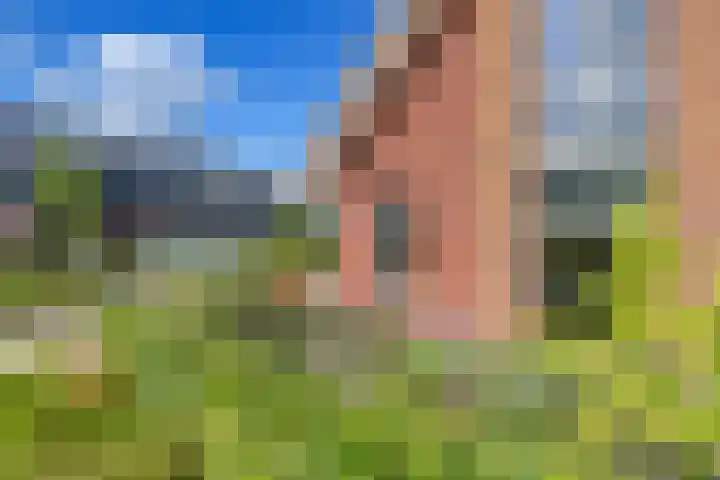 Dokter J. van Heuvenweg 20 Lieren thumbnail 30
