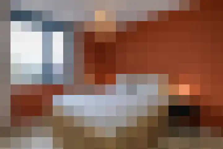 Dokter J. van Heuvenweg 3 Lieren thumbnail 19