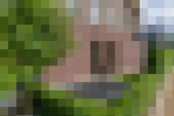 Dokter J. van Heuvenweg 32 Lieren thumbnail 21