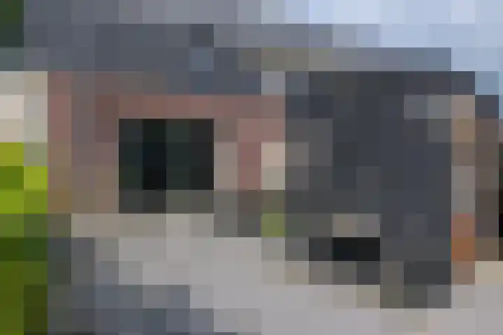 Dokter J. van Heuvenweg 32 Lieren thumbnail 22