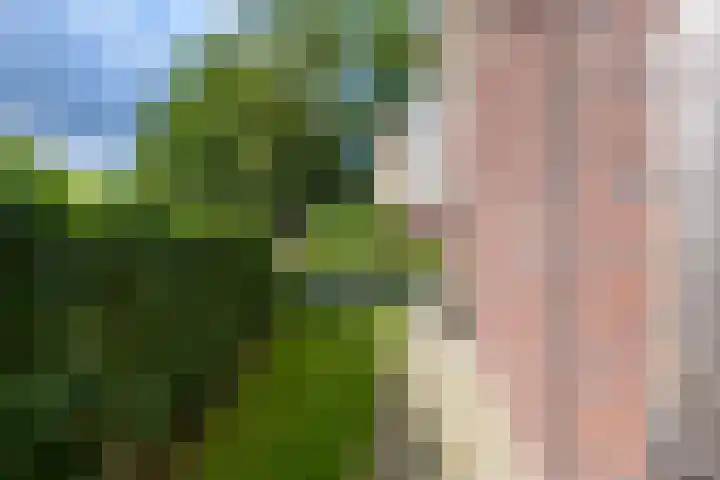 Dokter J. van Heuvenweg 32 Lieren thumbnail 25