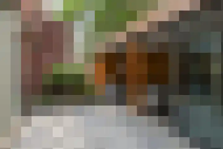Dokter J. van Heuvenweg 44 Lieren thumbnail 17