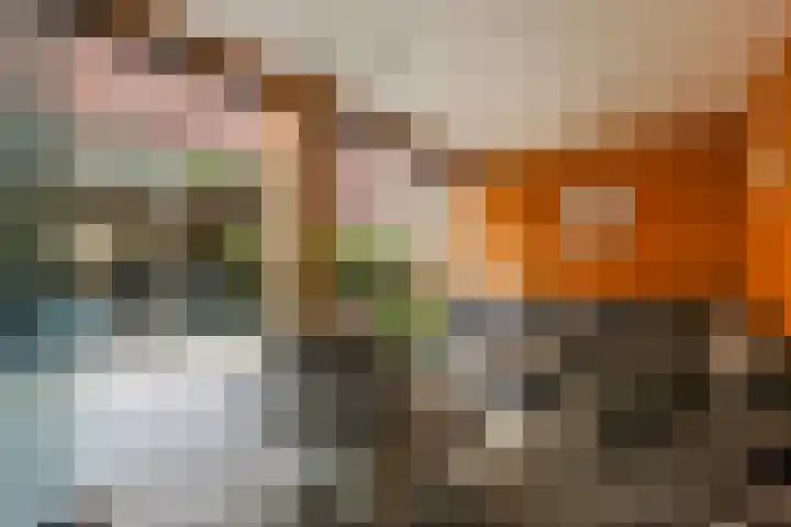 Dokter J. van Heuvenweg 44 Lieren thumbnail 19