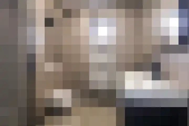 Dokter J. van Heuvenweg 44 Lieren thumbnail 27