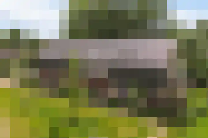 Dokter J. van Heuvenweg 44 Lieren thumbnail 32