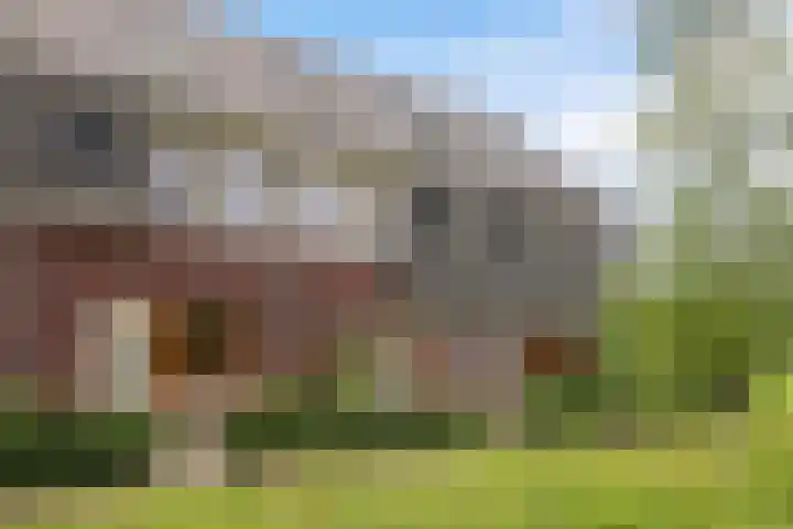 Dokter J. van Heuvenweg 44 Lieren thumbnail 39