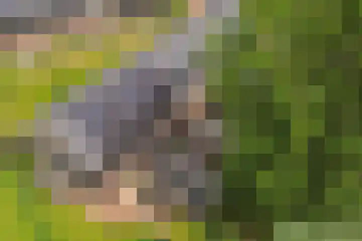 Dokter J. van Heuvenweg 44 Lieren thumbnail 4