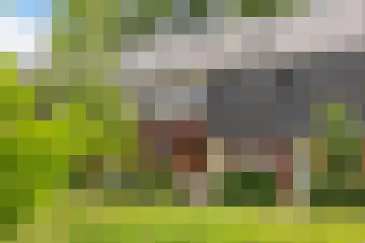 Dokter J. van Heuvenweg 44 Lieren thumbnail 5