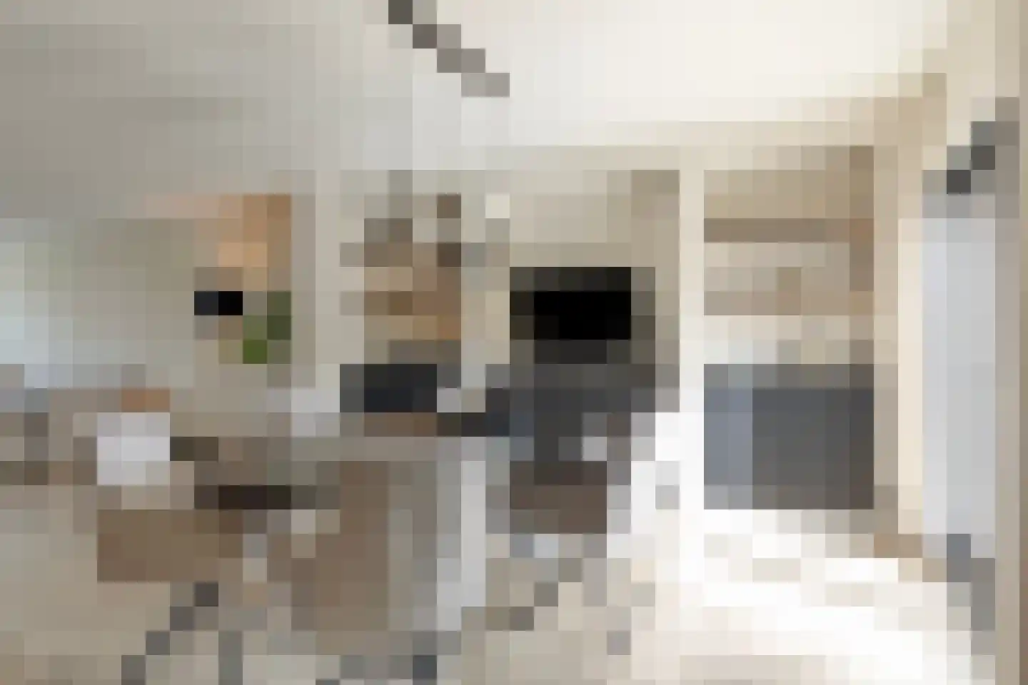 Dokter J. Veldhuijzen van Zantenstraat 34 Enter thumbnail 8