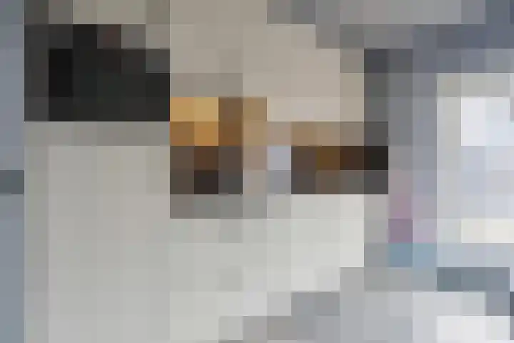Dokter J. Veldhuijzen van Zantenstraat 54 Enter thumbnail 11