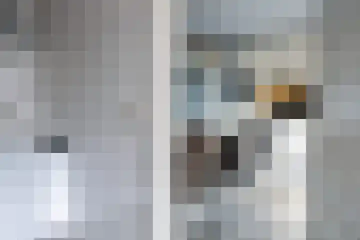 Dokter J. Veldhuijzen van Zantenstraat 54 Enter thumbnail 14