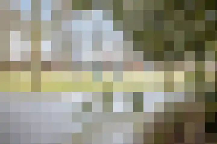 Dokter J. Veldhuijzen van Zantenstraat 54 Enter thumbnail 32