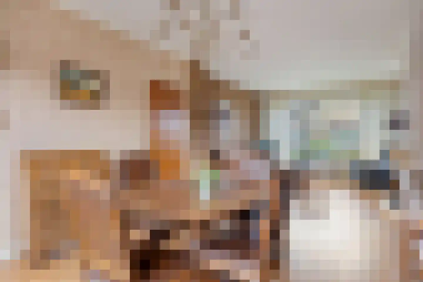 Dokter J. Veldhuijzen van Zantenstraat 9 Enter thumbnail 14