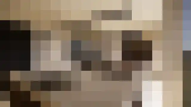 Dokter J. Veldhuijzen van Zantenstraat 9 Enter thumbnail 20