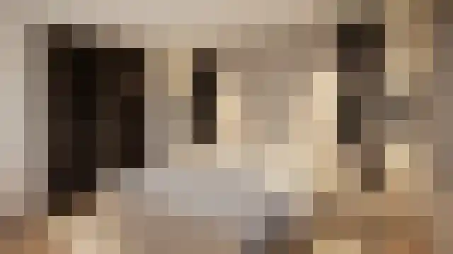 Dokter J. Veldhuijzen van Zantenstraat 9 Enter thumbnail 26