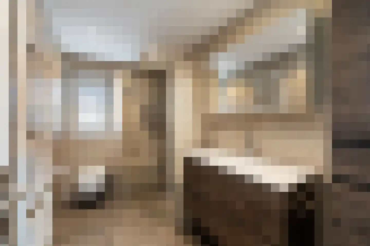 Dokter Jacobzehof 8 Kampen thumbnail 19