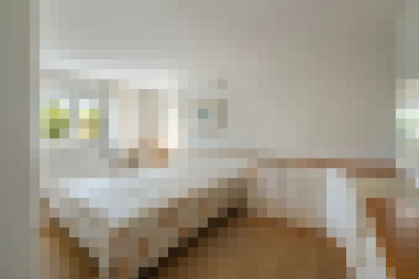 Dokter Jacobzehof 8 Kampen thumbnail 23