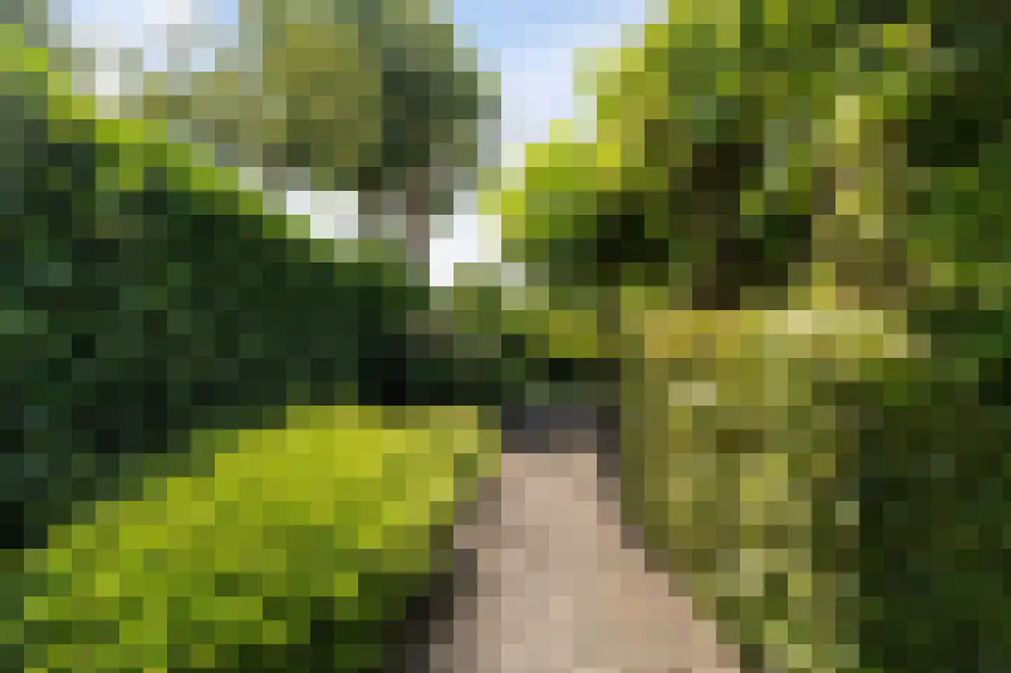 Dokter Jacobzehof 8 Kampen thumbnail 35