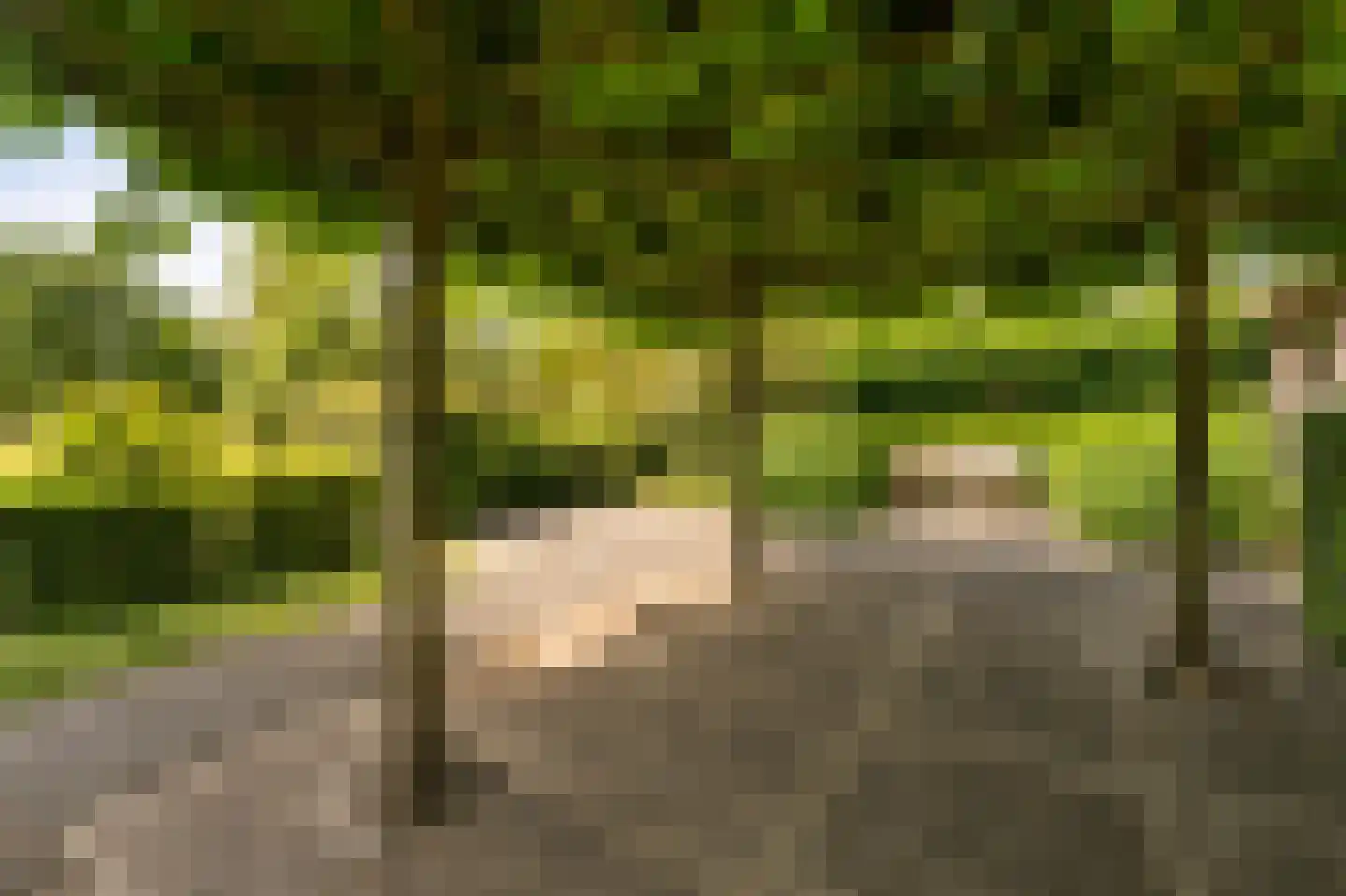 Dokter Jacobzehof 8 Kampen thumbnail 36