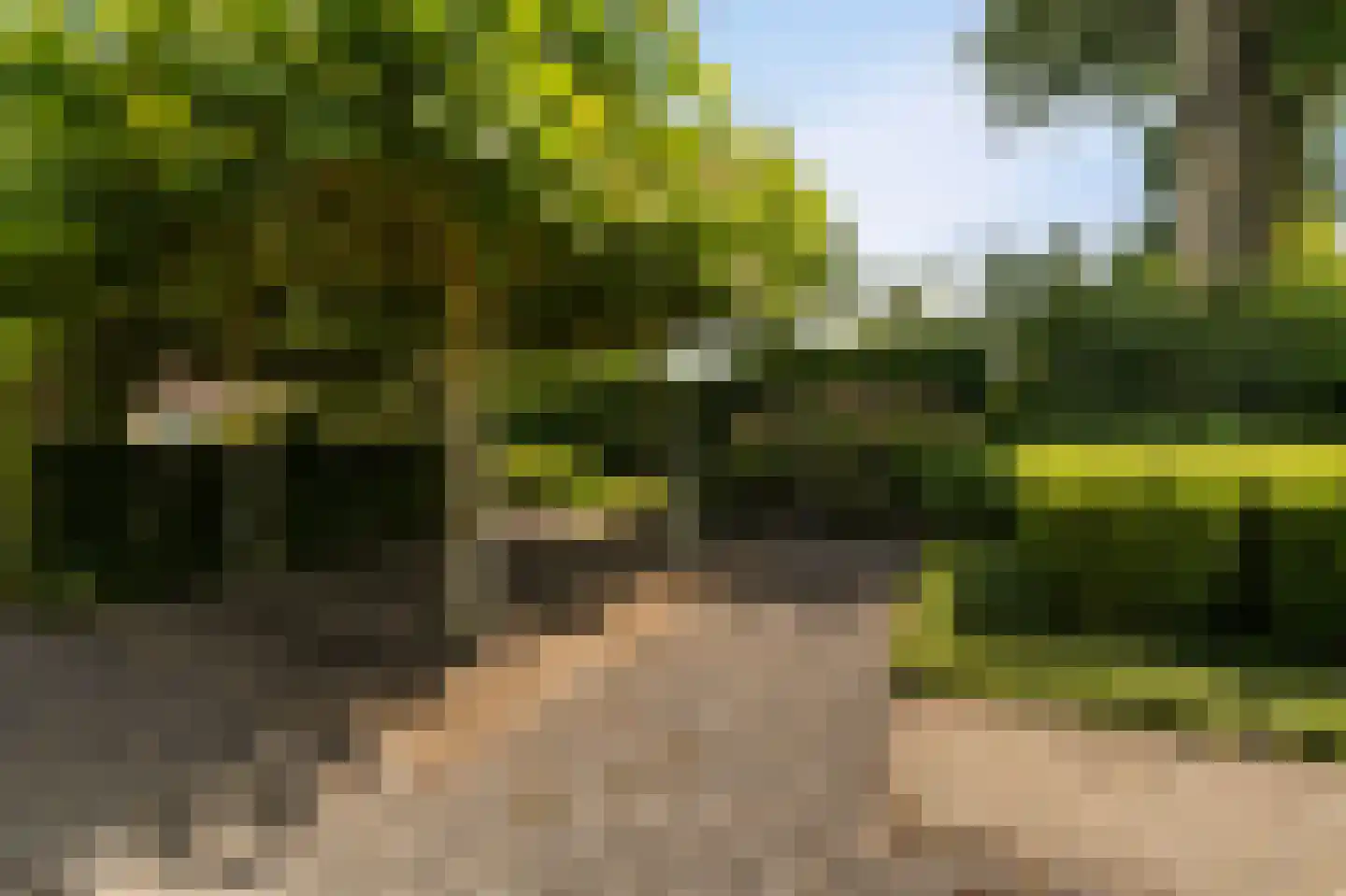 Dokter Jacobzehof 8 Kampen thumbnail 37